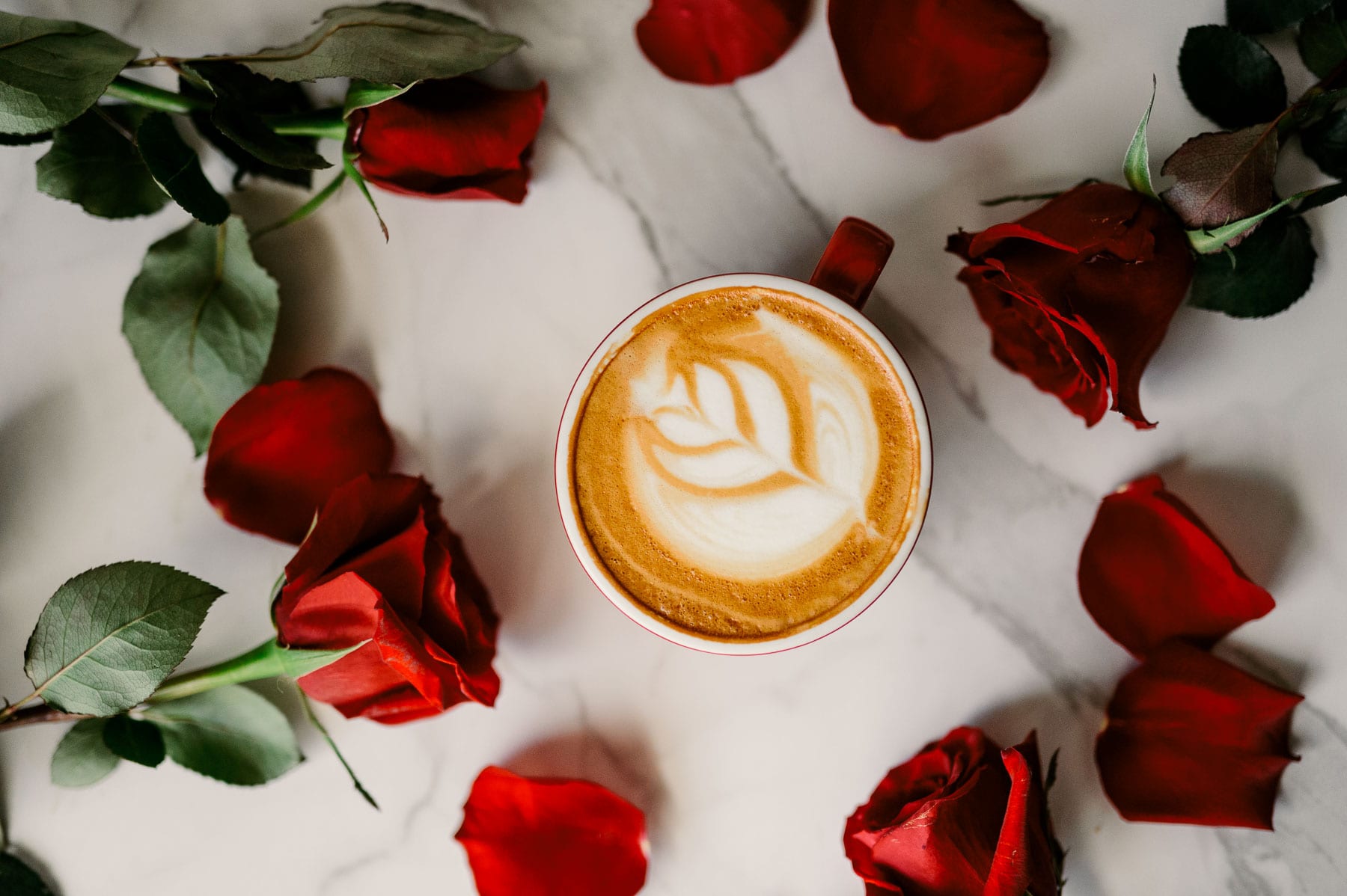 Brew Urban Cafe Overhead view of a red cup of cappuccino with a pattern in it surrounded by roses and rose petals