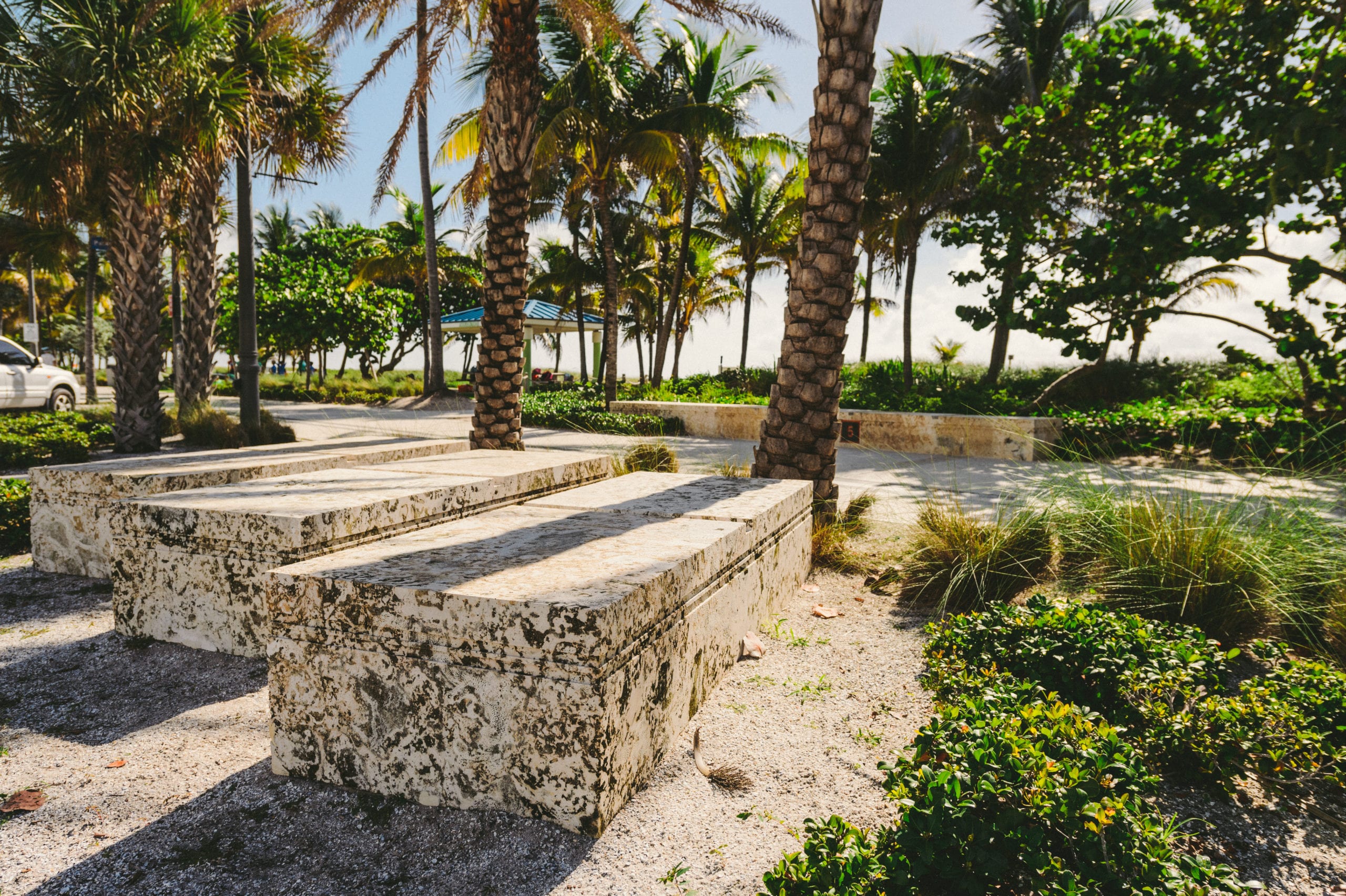 EDSA Pompano Beach Boulevard grounds with palm trees and large stones