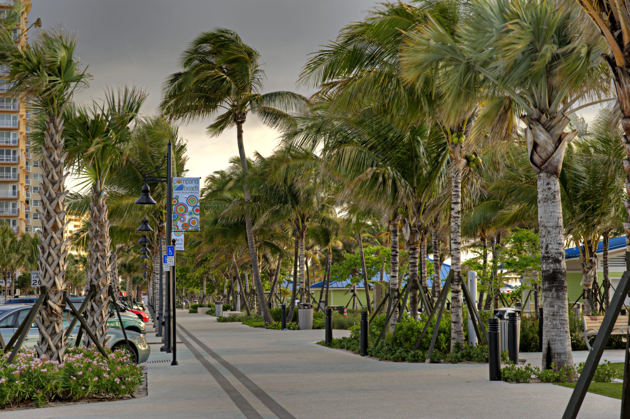 EDSA Pompano Beach Boulevard with car parking next to a walkway lined with palm trees