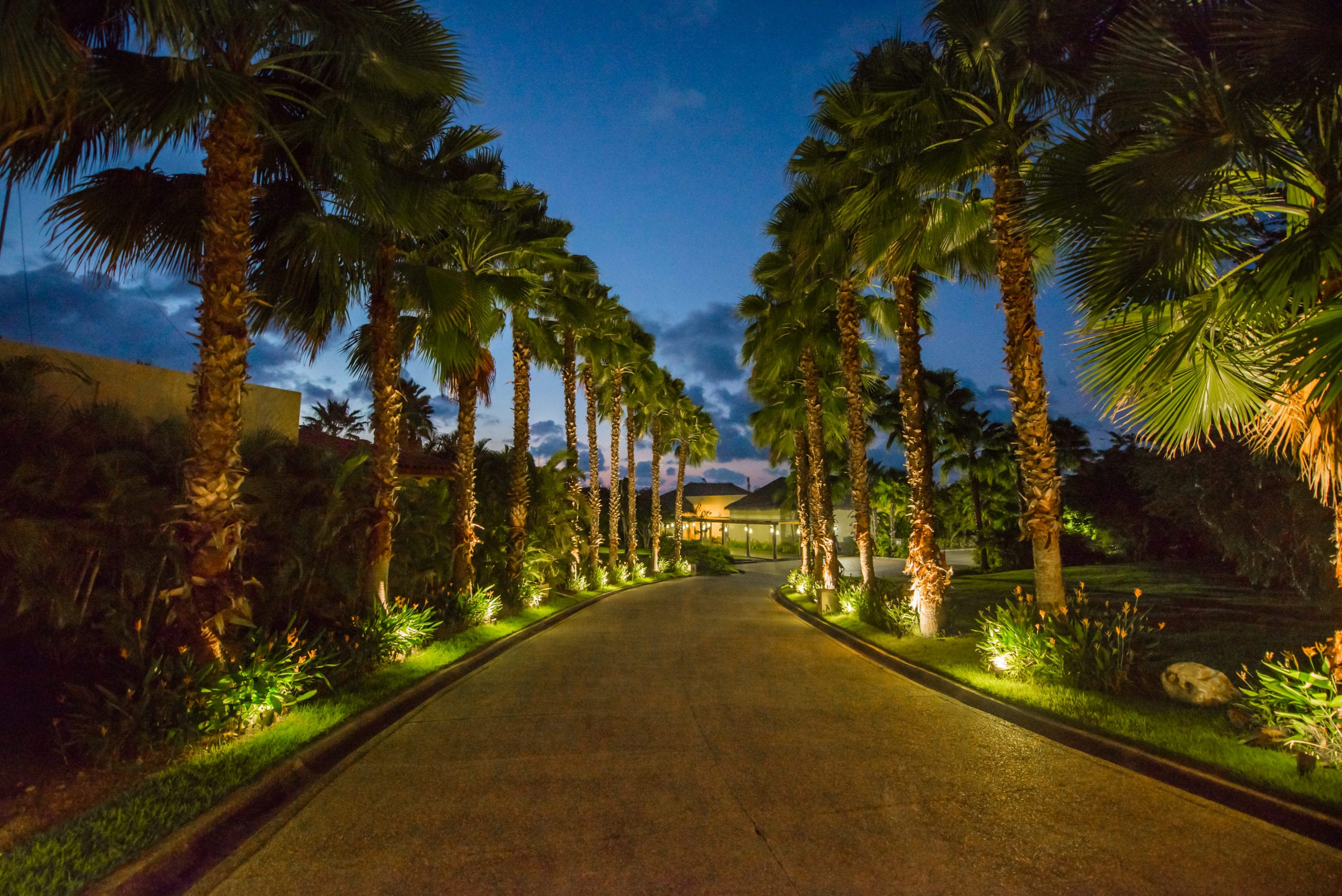 St Regis Building with walkway lined with palm trees lit up at night