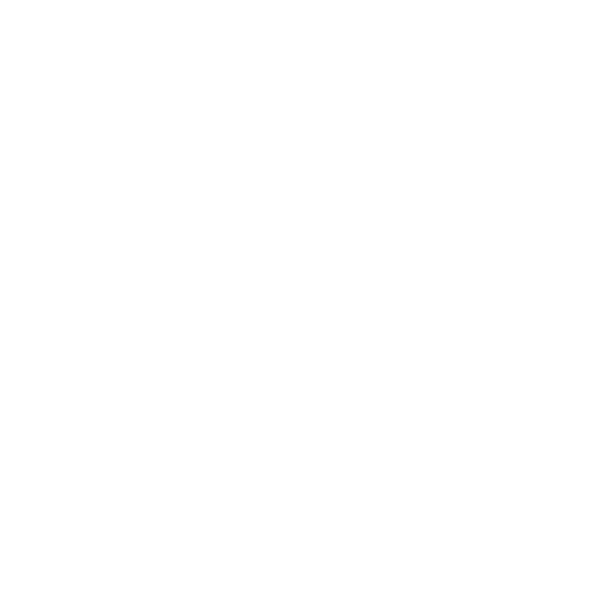 Video Production with Pretty Vulgar White Pretty Vulgar logo