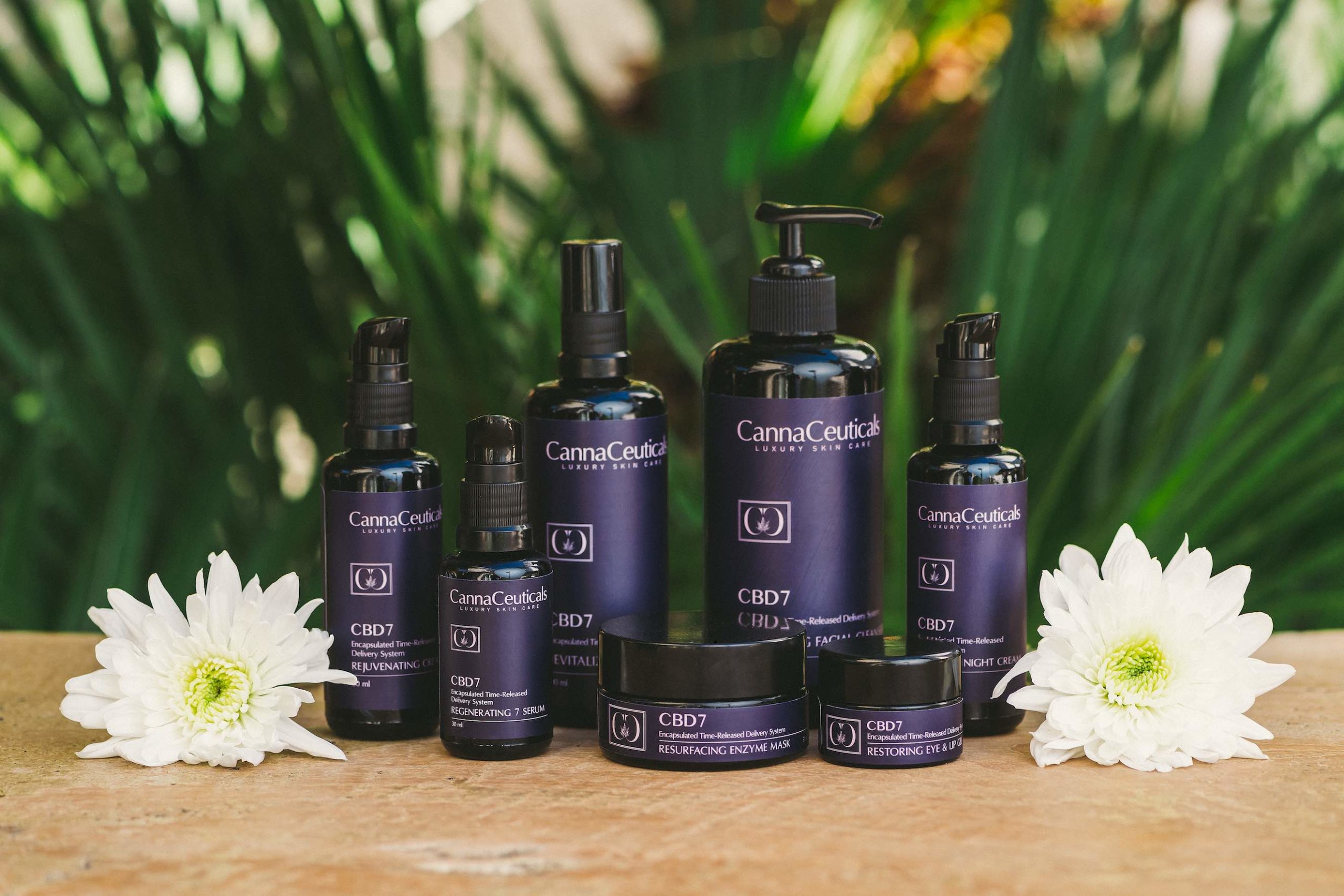CBD Product Photography Display of rejuvenating, regenerating, resurfacing, and restoring serum, cleanser, and cream products with two white flowers