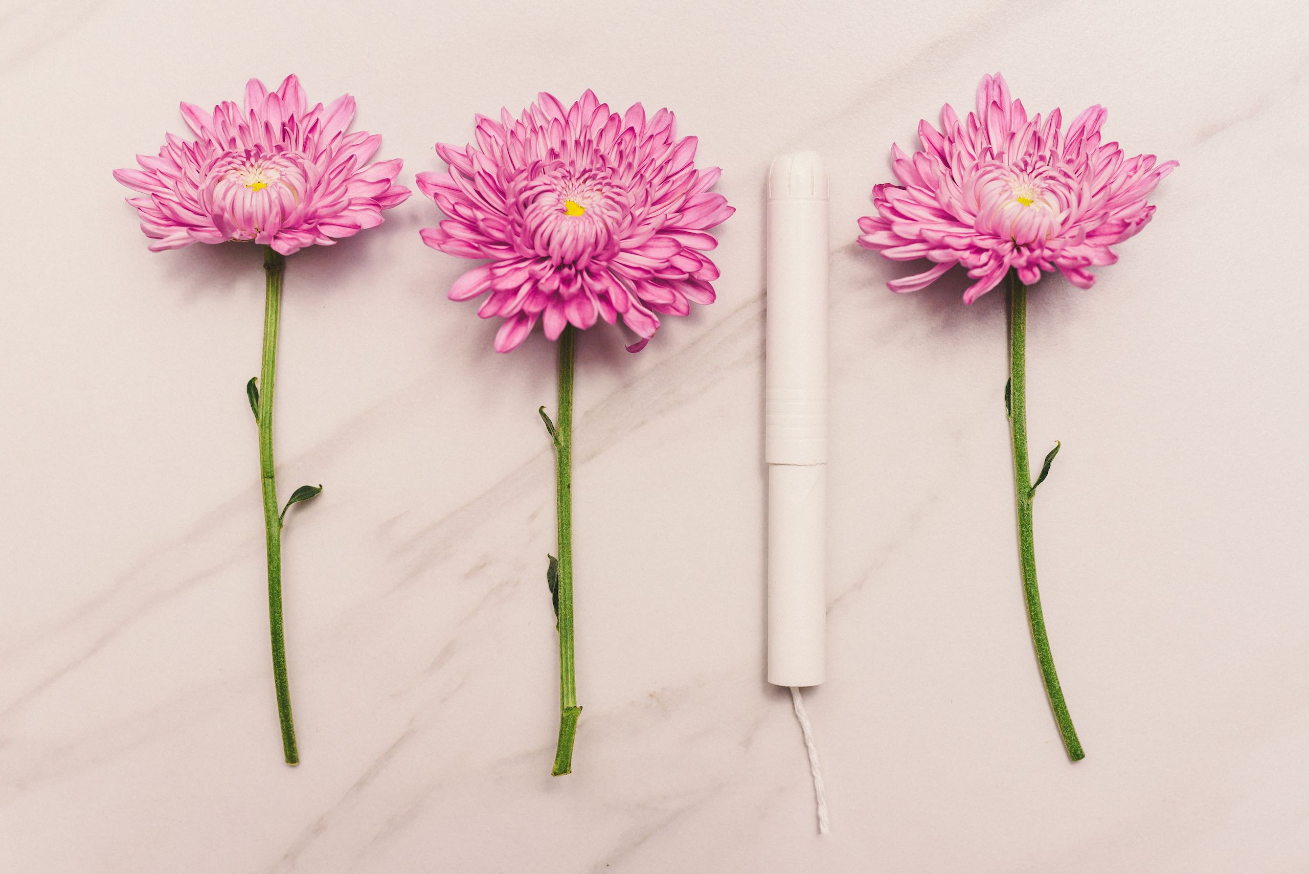 Three pink flowers and tampon on display