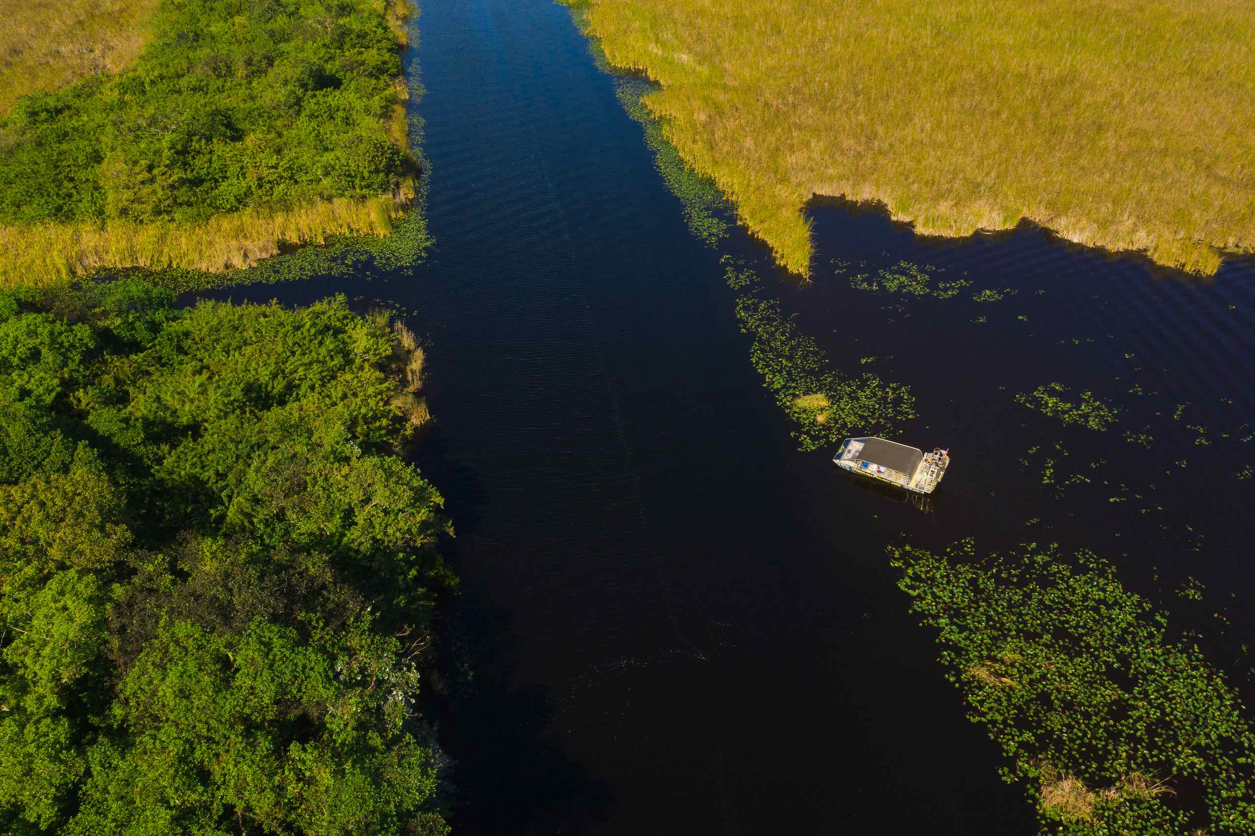 Everglades Holiday Park Aerial of an airboat on the water