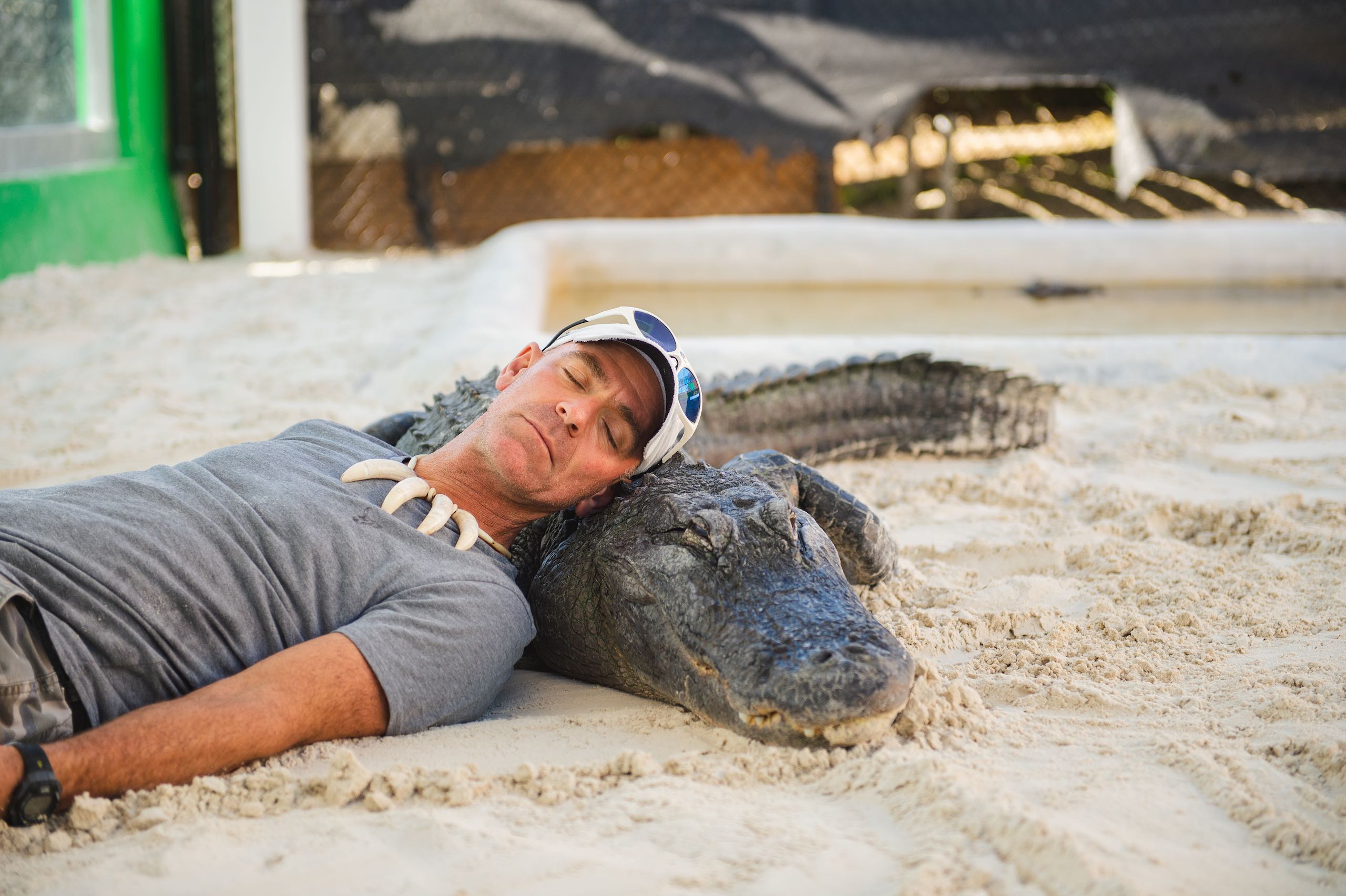 Everglades Holiday Park Man wearing a necklace with alligator teeth with eyes closed laying in the sand pit with an alligator who also has its eyes closed