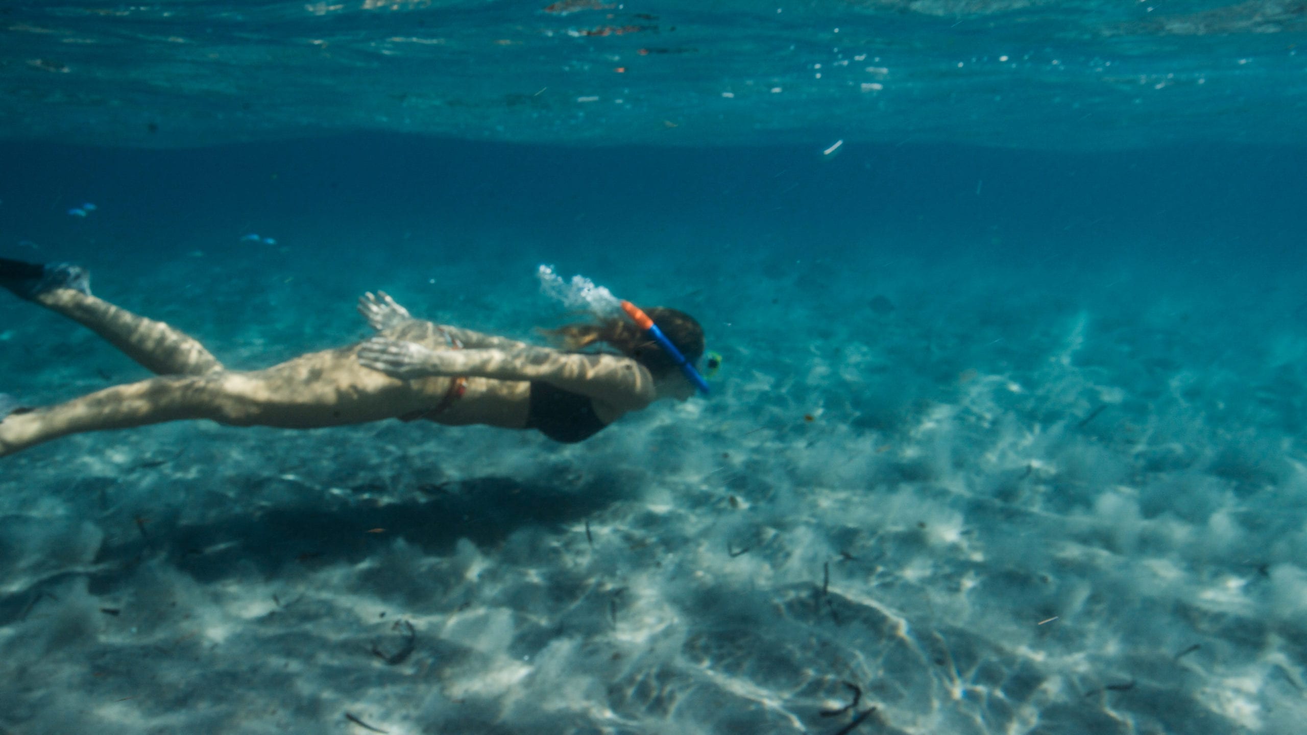 Boca Reef with a female scuba diver swimming in a bikini with an orange and blue snorkel