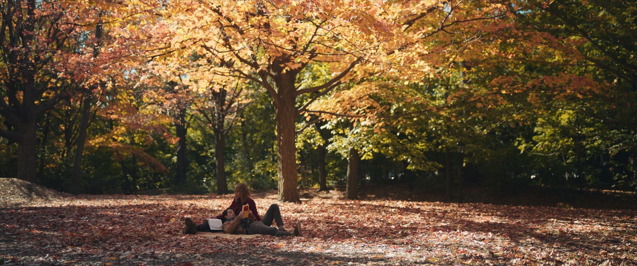 Visual and Digital Advantages of Hiring a Arri Camera Crew Woman sitting in leaves in a park with man reading a book resting his head on her lap