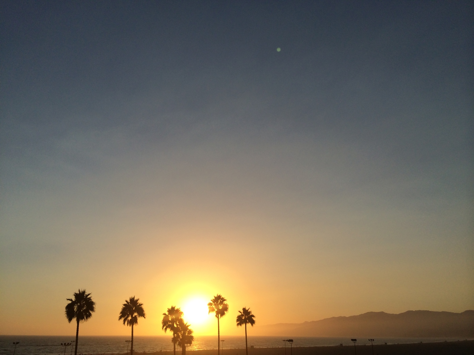 11 Tips for Producing a Commercial in Los Angeles Silhouette of palm trees against a sunset on a beach with mountain in the background