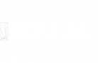 White NBA 2K Logo